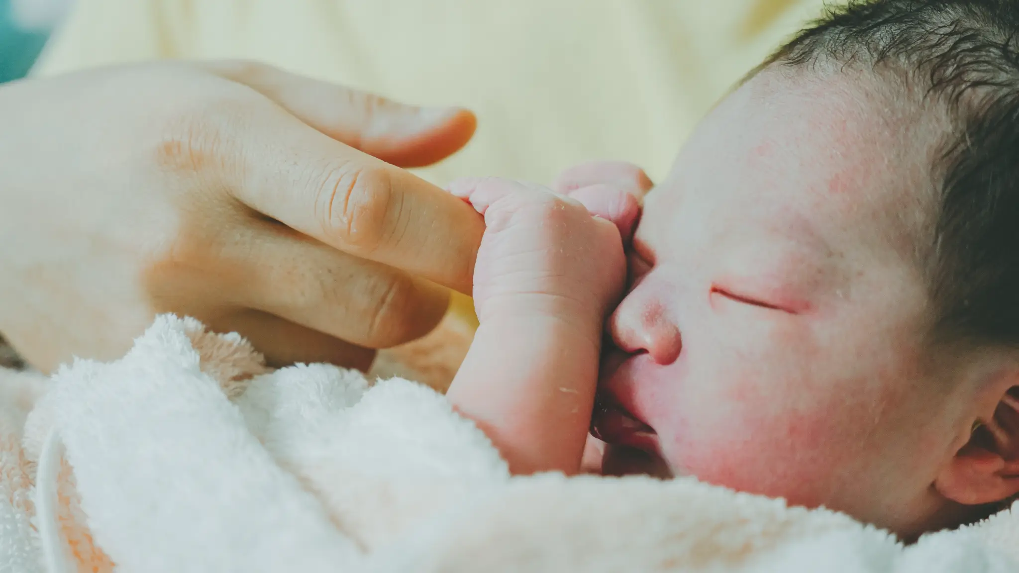 生產攝影作品 86